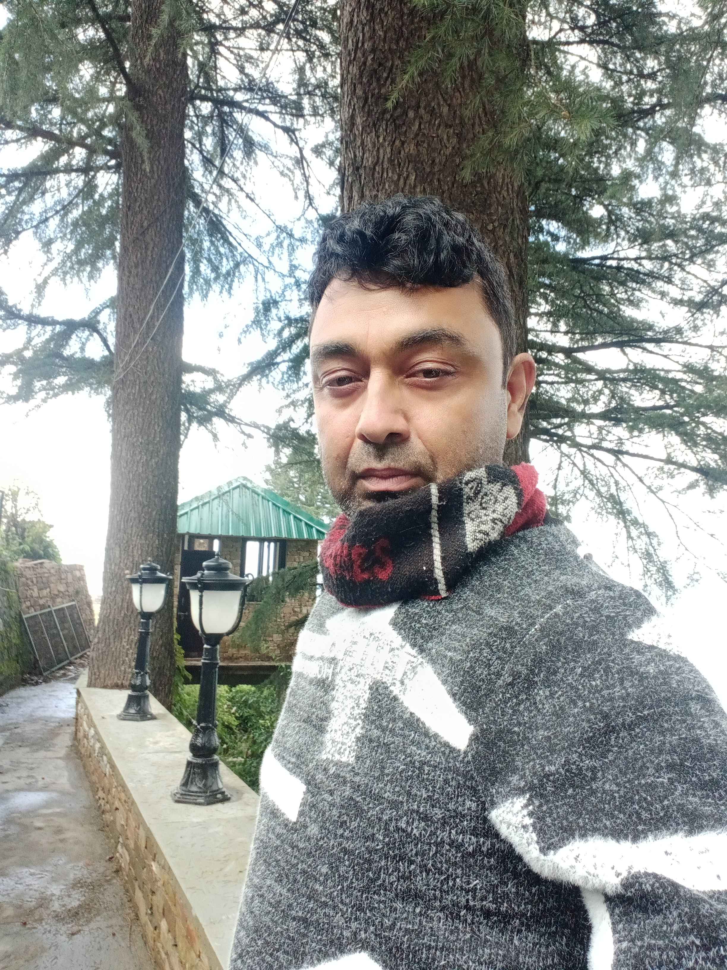 Sample Image